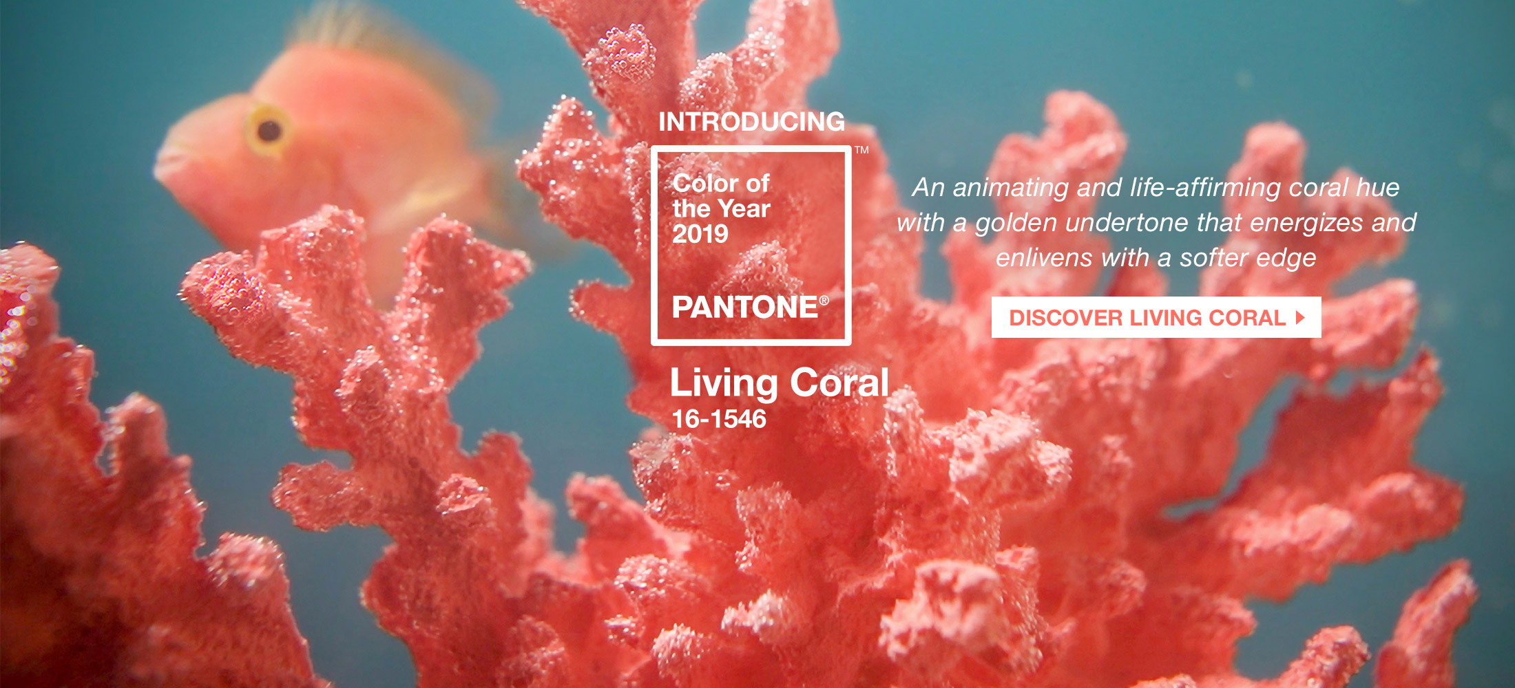 rgb-creative-ideas-pantone-color-of-the-year-2019-living-coral-homepage