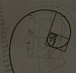 Tỉ lệ vàng trong Thiết kế & cách sử dụng