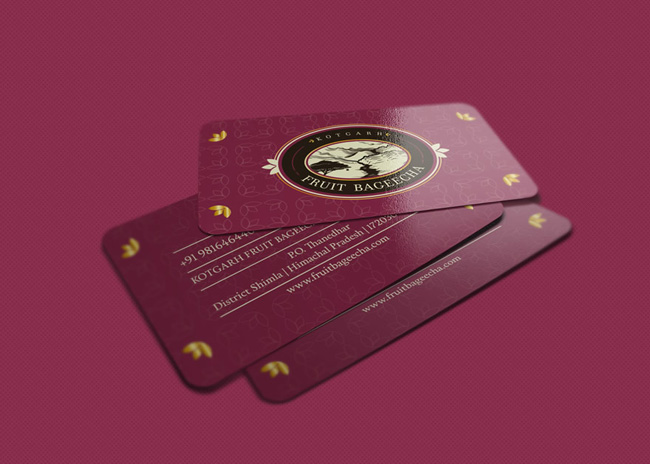rgb_vn_design_business-card-design-14feb-14