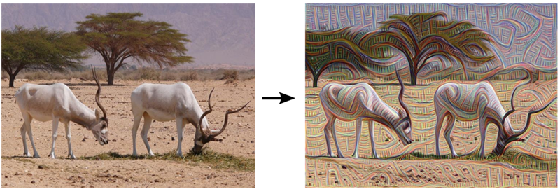 Bức ảnh bên trái chụp bởi nhiếp ảnh gia Zachi Evenor và bên phải là phiên bản mà AI hiểu được ghép từ rất nhiều mảnh ghép nhỏ lại với nhau