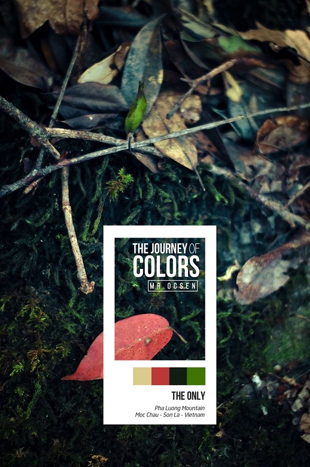rgb.vn_the-journey-of-color_17