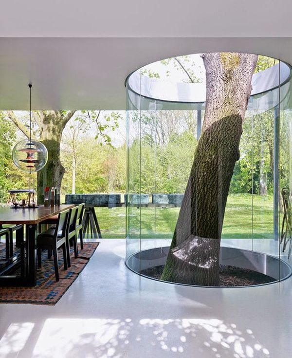 tree-inside-the-house-interior-climate-controlled