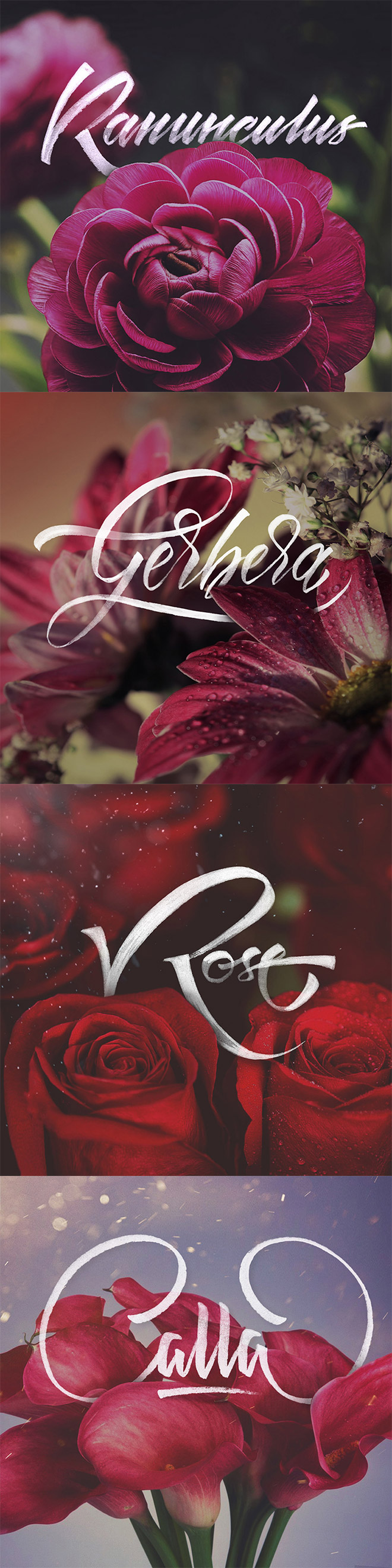 rgb_40-thiet-ke-floral-typography_07