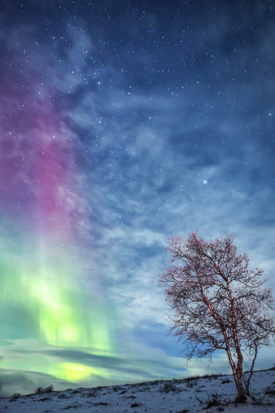 RGB.vn_Lapland_12