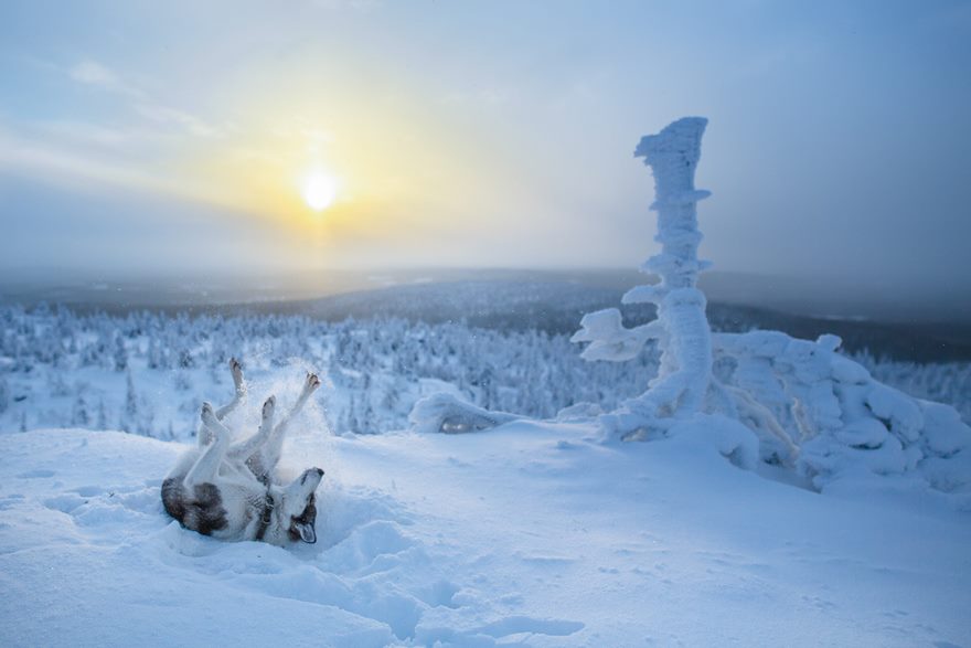 RGB.vn_Lapland_18