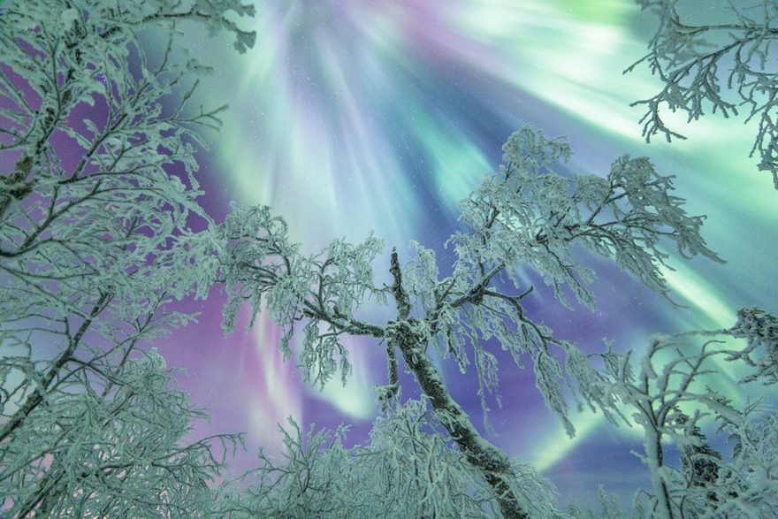 RGB.vn_Lapland_04