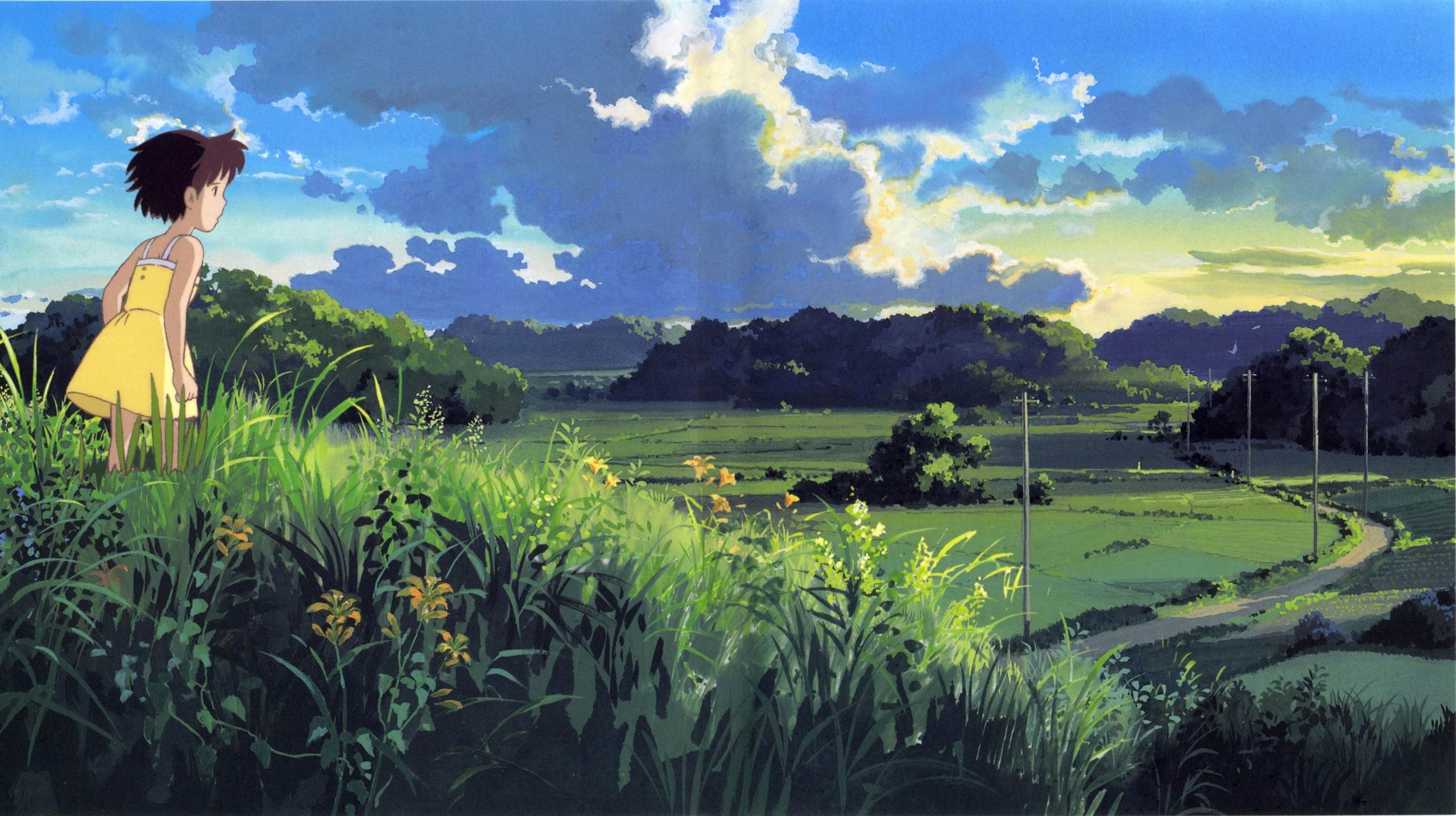 Studio Ghibli đóng góp hơn 51 tỷ VND để bảo tồn “khu rừng Totoro” • RGB